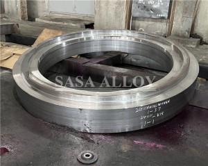 Incoloy 800 /800H / 800HT Forgings