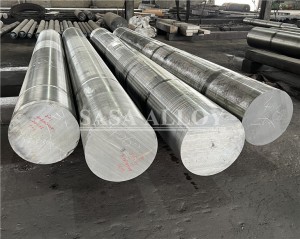 Incoloy 800 /800H / 800HT Forgings