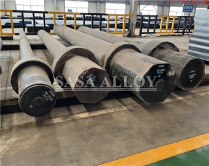 Incoloy 800 /800H / 800HT Forgings